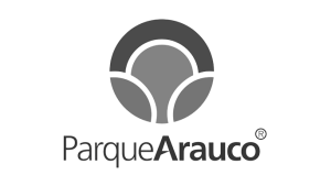 PARQUE_ARAUCO-removebg-preview